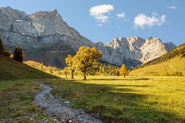 Alpenidylle in Oostenrijk van Michael Valjak