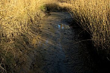 Muddy line by IdzardCreations