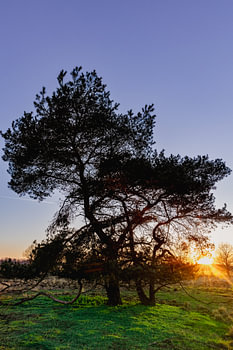 Une tranquillité sereine