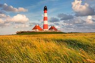 Leuchtturm Westerheversand bei Sonnenuntergang von Markus Lange Miniaturansicht