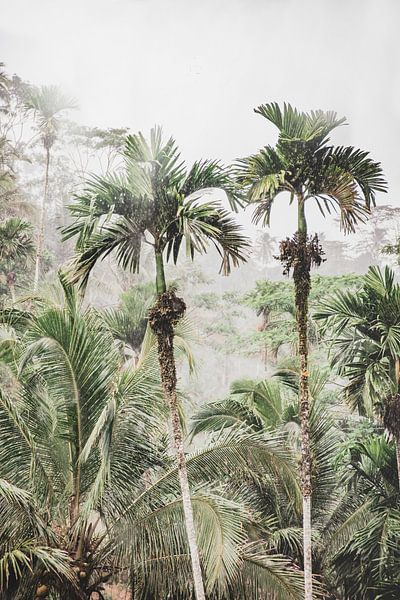 Rainforest by Roos Oosterbroek | hand painted prints en fotografie