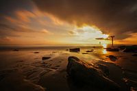 The Westerschelde