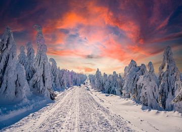 Winterlandschaft im Erzgebirge von Animaflora PicsStock