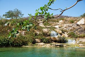 Wadi Darbat, Dhofar, Oman