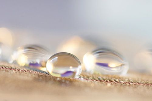 Dream by Carla Mesken-Dijkhoff