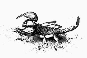 a scorpion monochrome mixed media by Werner Lehmann