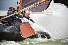 Lemsteraak in action by Jasper van Staveren