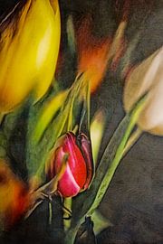 Resting point by Petra Dreiling-Schewe