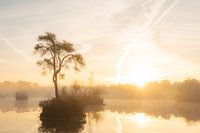 Front de l'île de Goorven