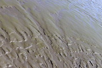 Marée basse &amp ; Marée haute