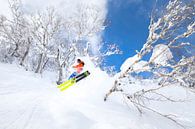 Extreme Powder Ski Niseko Hokkaido Japan van Menno Boermans thumbnail