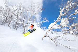 Extreme Powder Ski Niseko Hokkaido Japan von Menno Boermans