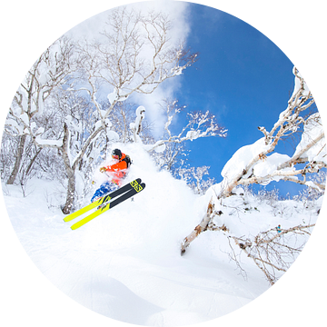 Extreme Powder Ski Niseko Hokkaido Japan van Menno Boermans