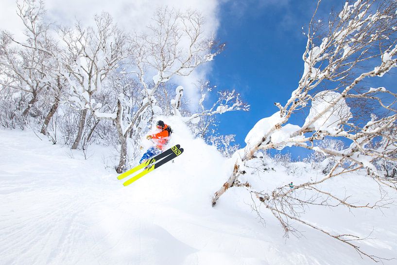 Extreme Powder Ski Niseko Hokkaido Japan van Menno Boermans