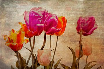 Tulipes sur le mur sur Freddy Hoevers