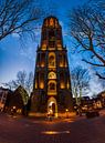 The Dom in Utrecht by Roy Poots thumbnail