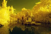 Urban fairytale garden in 680nm
