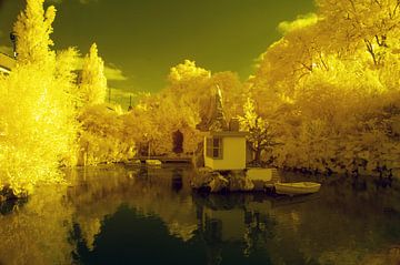 Jardin de conte de fées urbain en 680nm sur Arno van der Poel