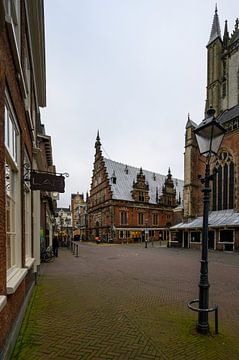 Vieux marché vert de Haarlem sur Peter Bartelings