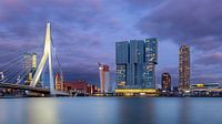 Erasmus Bridge at night