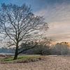 Zonsondergang Zeegser Duinen sur Richard Janssen