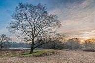 Zonsondergang Zeegser Duinen von Richard Janssen Miniaturansicht