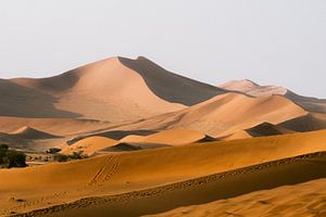 Zandduinen in de Sossusvlei bij zonsondergang, Namibië van Suzanne Spijkers