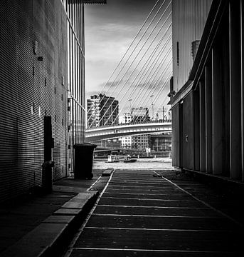 De Erasmusbrug te Rotterdam vanuit een steegje genomen met een passerende watertaxi
