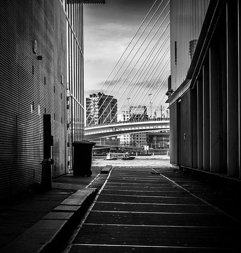 The Erasmus Bridge in Rotterdam, photographed from an alleyway with a passing water taxi by Robbin Metz