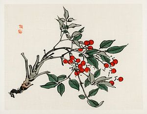 Firethorns by Kōno Bairei (1844-1895). van Studio POPPY