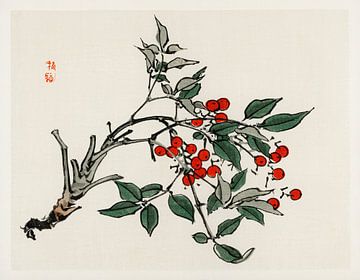 Firethorns by Kōno Bairei (1844-1895).