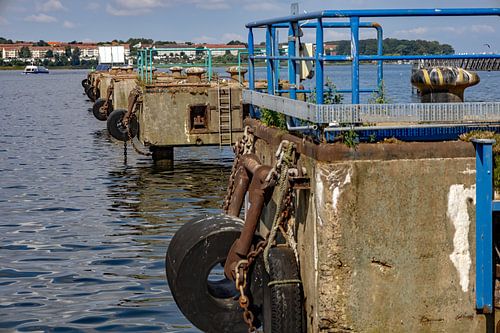Wismar dolphin moorings