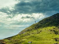 Aussichtsturm auf einem grünen Beet