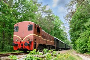 Vieux train diesel dans la campagne sur Sjoerd van der Wal Photographie