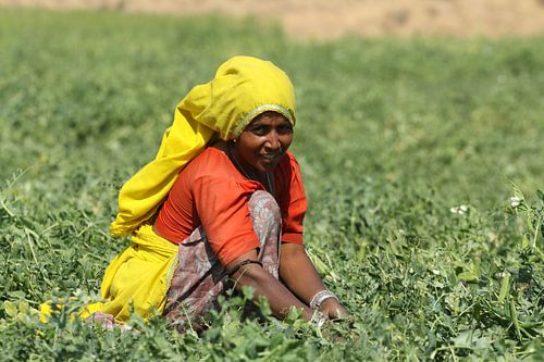 Woman working on the land