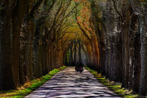 Eerste Motorrijders in een vroeg voorjaarszonnetje.