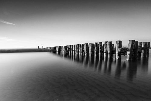 Paalhoof spiegeling zw/w