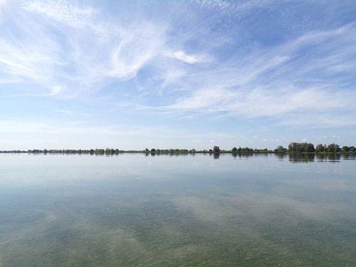 Reflectie in de Reeuwijkse Plassen