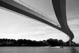 Nesciobridge by M. van Oostrum