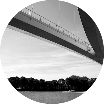 Nesciobrug van M. van Oostrum