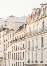 Parissep1909 Ratioiso by Grace Digital Art Co