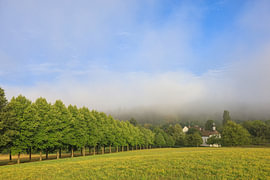The avenue leading to the Dauenberg estate with its chapel near Eigeltingen in the Hegau region – Constance district by BlattArt - Christine Horn