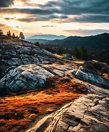 Herbst im Yosemite Nationalpark