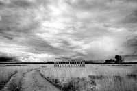 Regte Heide nature reserve