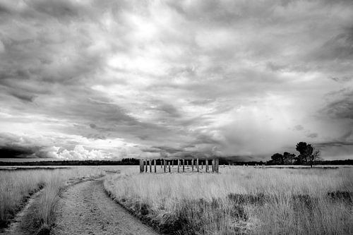 Natuurgebied de Regte Heide