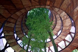 Les arbres s'élèvent bel et bien vers le ciel sur Kjeld Olsen