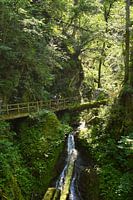 Randonnée dans les gorges du Lotenbach le long de rochers escarpés