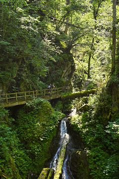 Wandeling door de Lotenbachklamm kloof langs ruige rotsen van Dieter Stahl