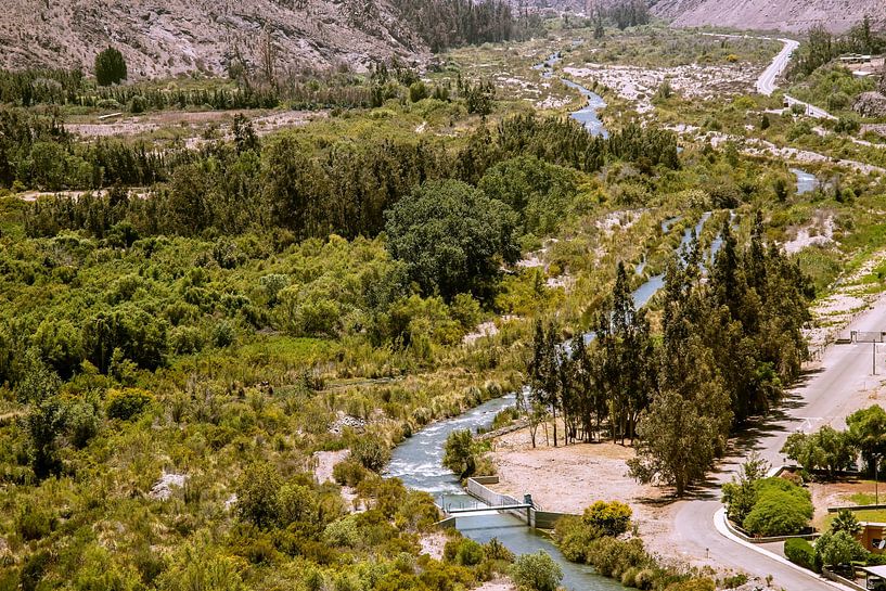 Une oasis dans le désert par Thomas Riess