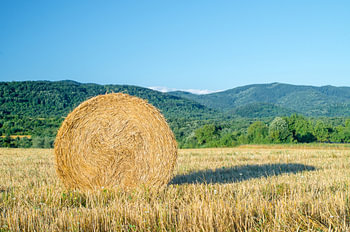 Minimalist Summer Landscape with Single Golden Hay Bale